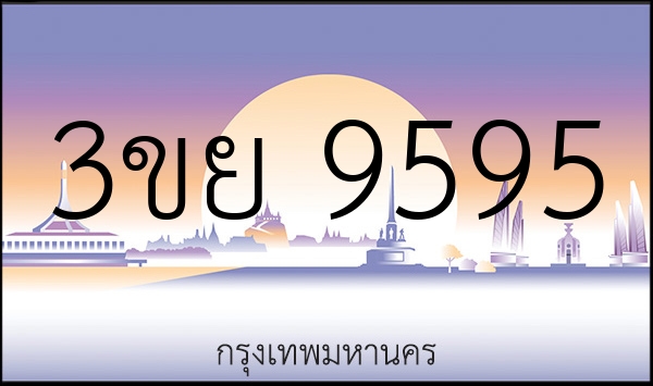 3ขย 9595